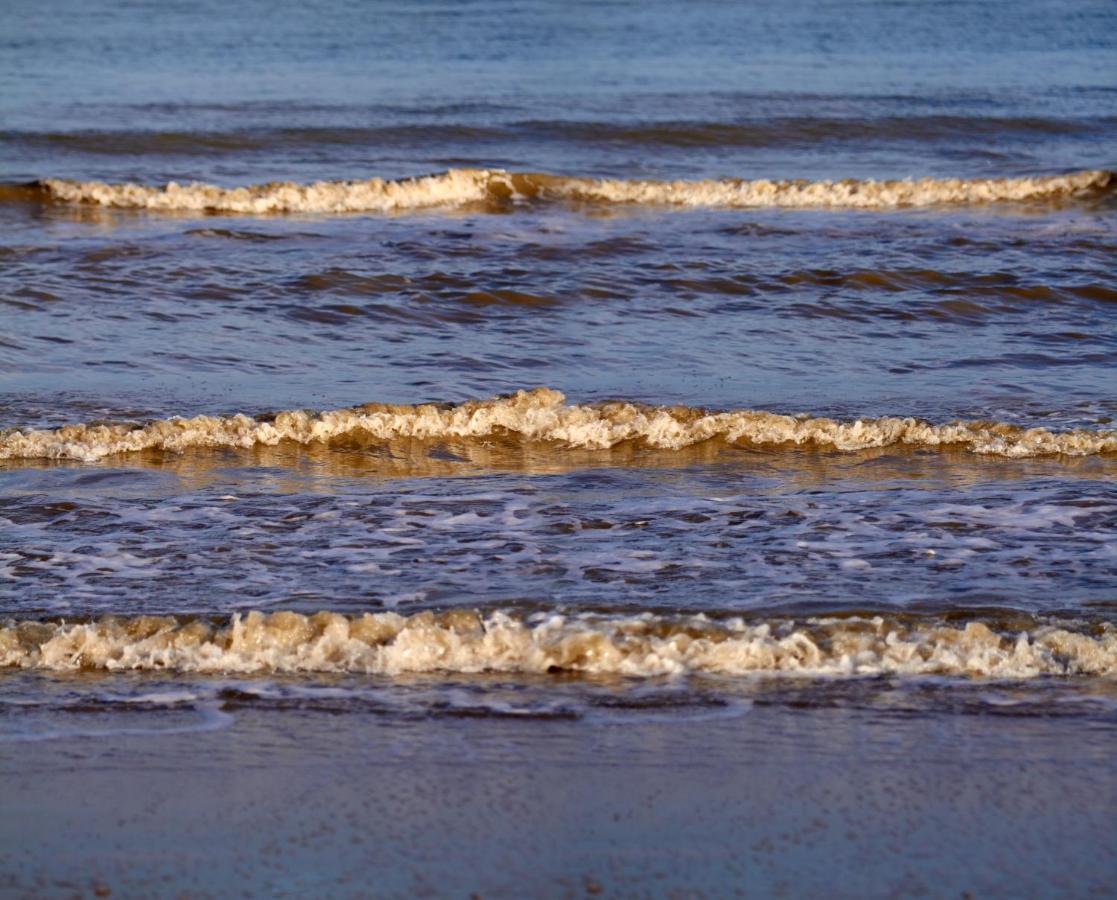 Polderhuis Voor 8-10 Personen Aan Zee 尼乌弗利特 外观 照片